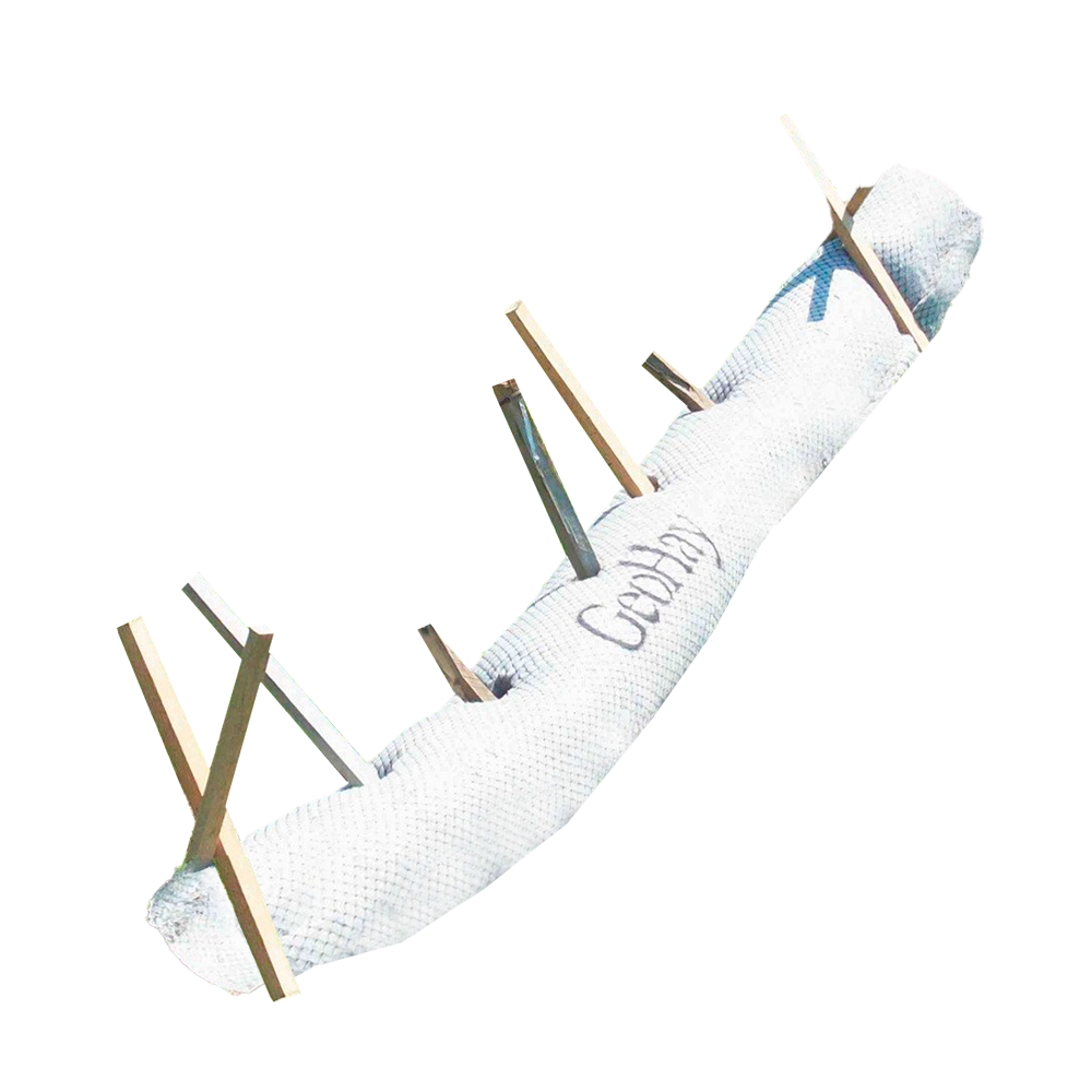 Main Image 1