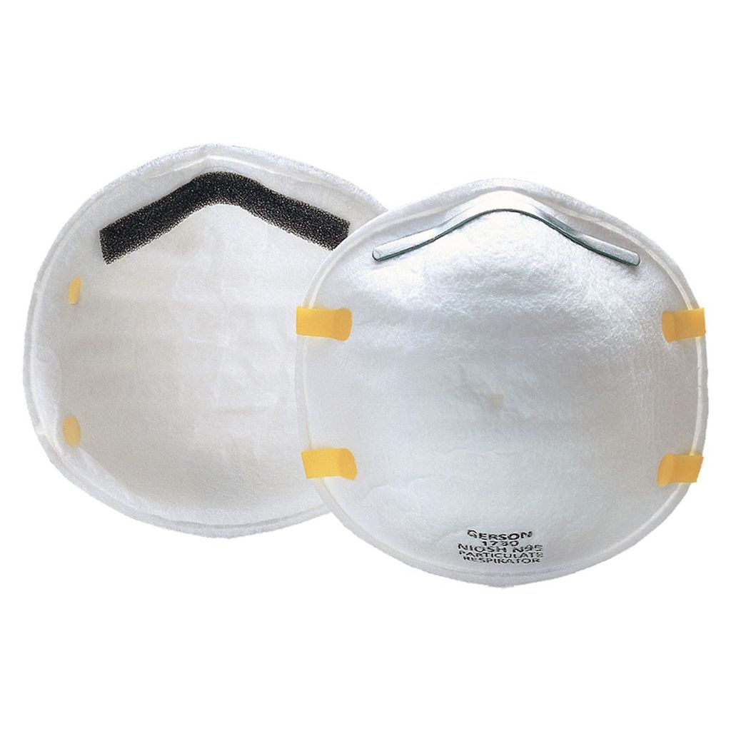 Disposable N95 Respirator, 20/Box