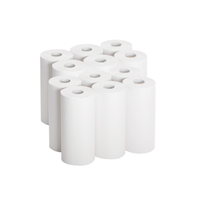 2 Ply Paper Towel Rolls, 30/Case