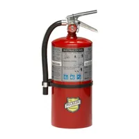 10-LB ABC Dry Chemical Fire Extinguisher