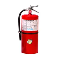 20-LB ABC Dry Chemical Fire Extinguisher
