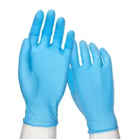 Nitrile Latex Glove W/O Powder, Large