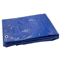 10' x 20' Blue Poywoven Tarp